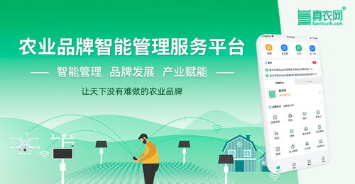 从韩国高丽参到中国物联网农业 一场关于价值重塑的产业解析